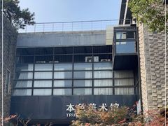 -苏州本色美术馆