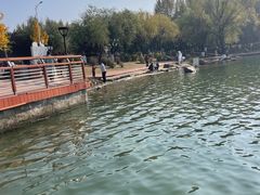 -丁香湖公园