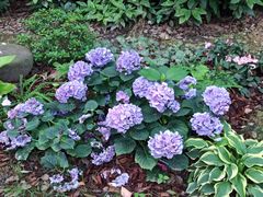 -共青国家森林公园-售票处