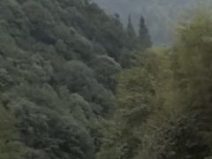 -浮盖山峡谷漂流