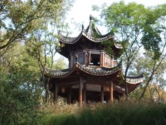 -上海市保健医疗中心(华东疗养院)
