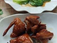 -东鸽皇(奥园·中环广场店)