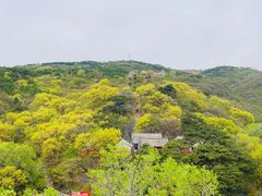 -妙峰山风景名胜区