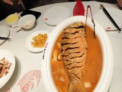 -阿五黄河大鲤鱼(英协路店)