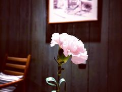 餐具摆设-小大董·烤鸭(凤凰汇店)