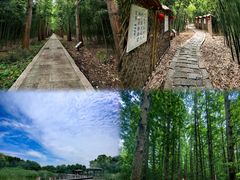 -同里国家湿地公园