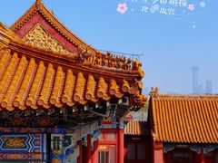 -故宫博物院(故宫)