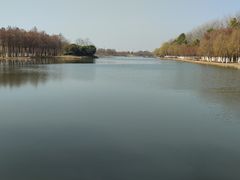 -合肥滨湖国家森林公园