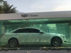 -大渔铁板烧(蛇口店)