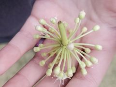 -苏州河梦清园环保主题公园