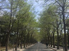 -熙春园餐厅