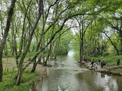 -西溪南古村落