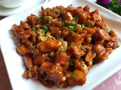 -旭龙鱼头王(航华店)