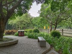 -晓港公园