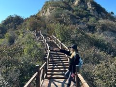 -大岭沟猕猴桃谷风景区