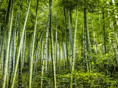 -山沟沟景区