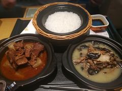 红烧牛腩饭-谷田稻香(佛罗伦萨店)