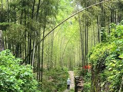 -会稽山峡洞漂流-上青古道