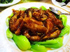海参烧蹄筋-烤肉宛饭庄(南礼士路店)