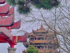 -黄鹤楼公园(黄鹤楼)