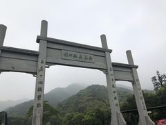 -龙坞茶村