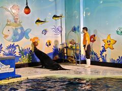 -太平洋海底世界