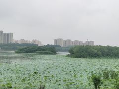 -丁香湖公园