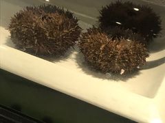 -乾山寿司(好运街店)