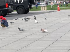 -大连人民广场