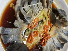 -煲来饱去冷水鱼
