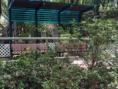 -九龙公园