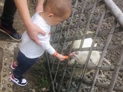 -长兴太湖图影湿地文化园