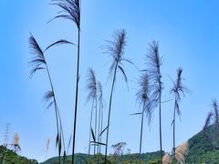 -东部华侨城