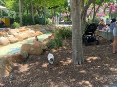 -布里斯班南岸公园