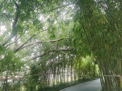 -四海公园(南山区)
