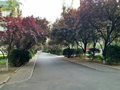 -山东师范大学(千佛山校区)