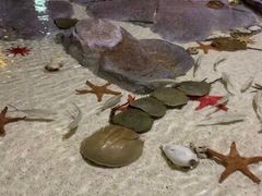 -福州罗源湾海洋世界旅游区