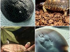 -上海海洋水族馆