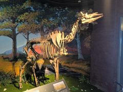 -安徽省地质博物馆