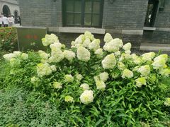 -张学良旧居陈列馆