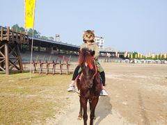 -南国桃园旅游度假区