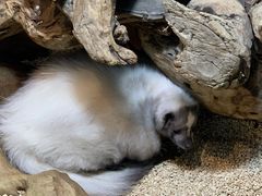-昆明大悦城未来动物城(螺蛳湾中心店)