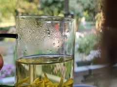 -阿巧茶庄