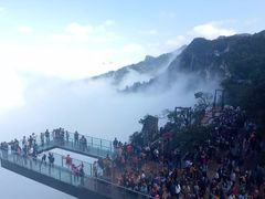 -梦幻奥陶纪景区