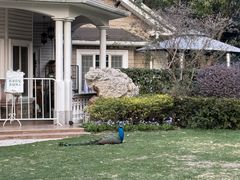 -J Create城市露营咖啡·简餐·宠物(上海动物园店)