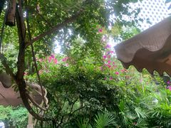 -大妙火锅·非物质文化遗产(东湖公园店)