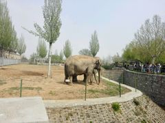 -石家庄市动物园