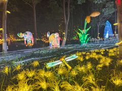 -洋湖国家湿地公园