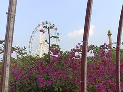 -观澜湖生态运动公社