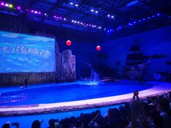 -华夏文旅海洋公园